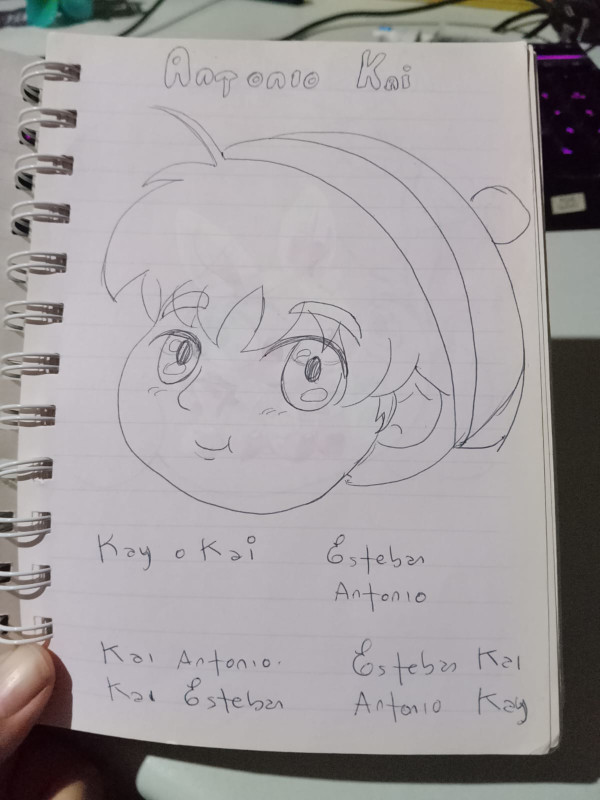 Entrada del diario: imagen 1